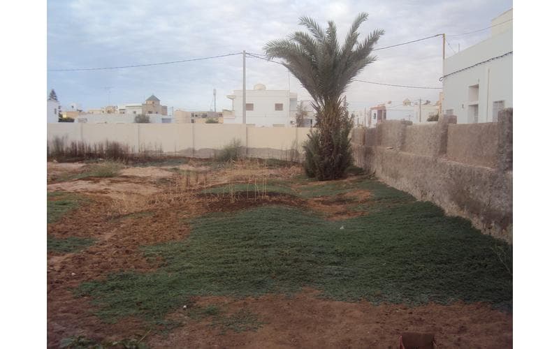 Terrain 2