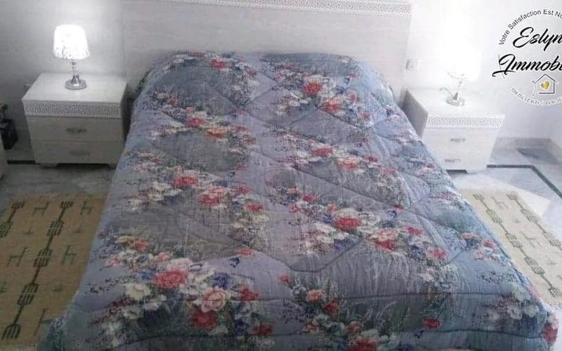 Appartement s+1 12