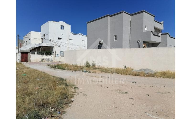 Terrain