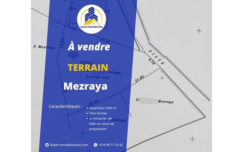 Terrain