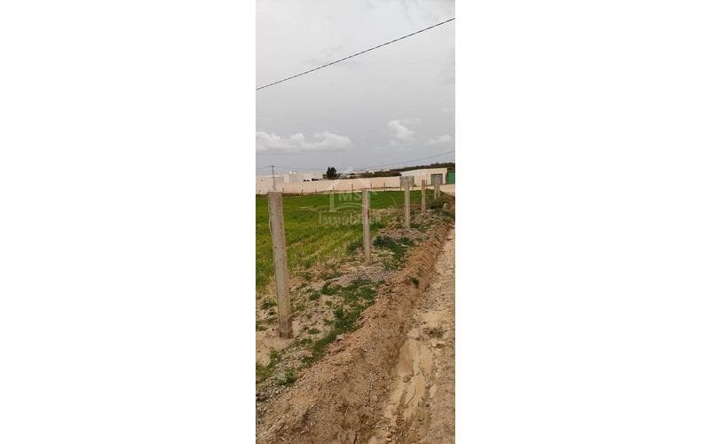Terrain