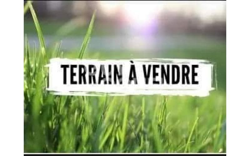Terrain