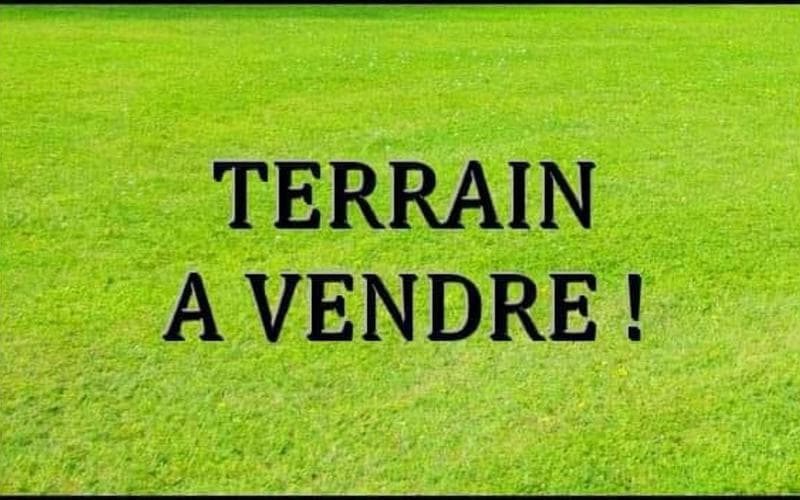 Terrain