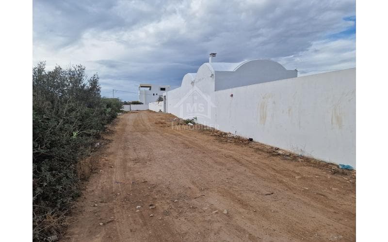 Terrain