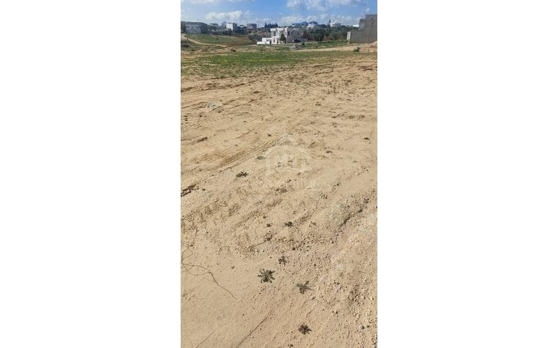 Terrain