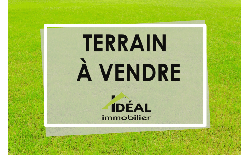 Terrain