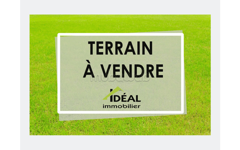 Terrain