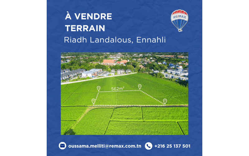 Terrain