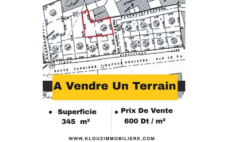 Terrain