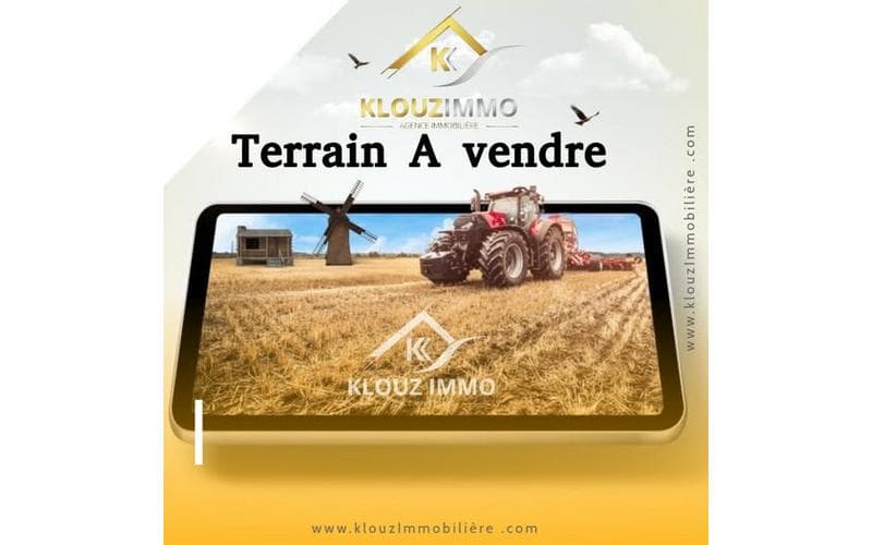 Terrain