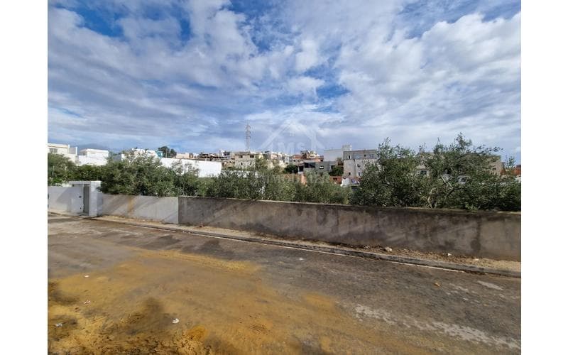 Terrain