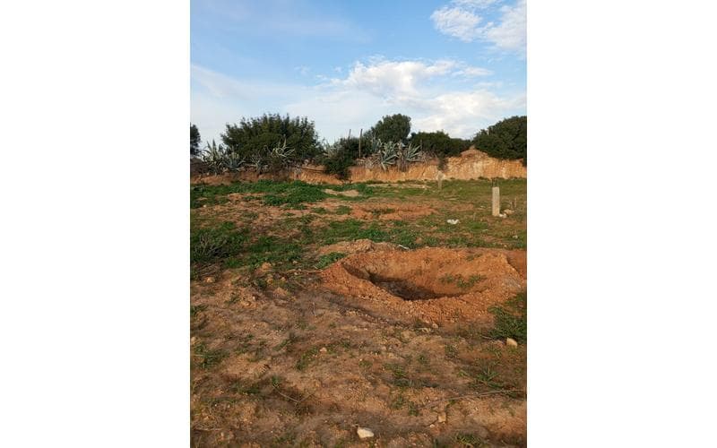 Terrain