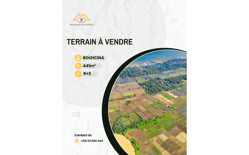Terrain