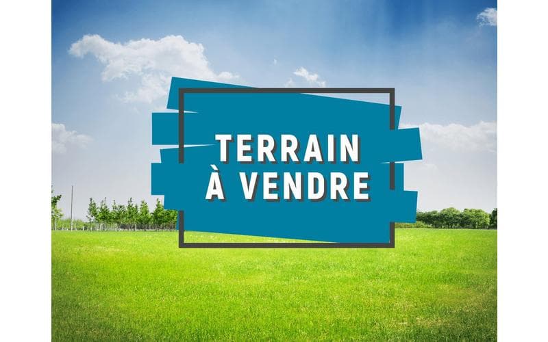 Terrain