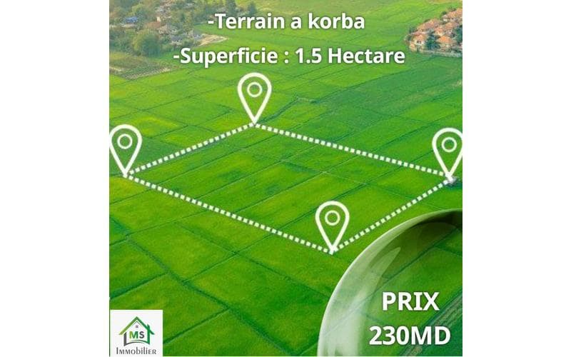 Terrain