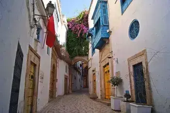 Biens à vendre à Tunis