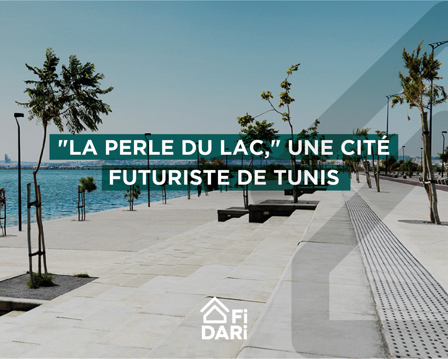 Fi Dari immobilier tunisie Annonces immobilières gratuites fidari.tn