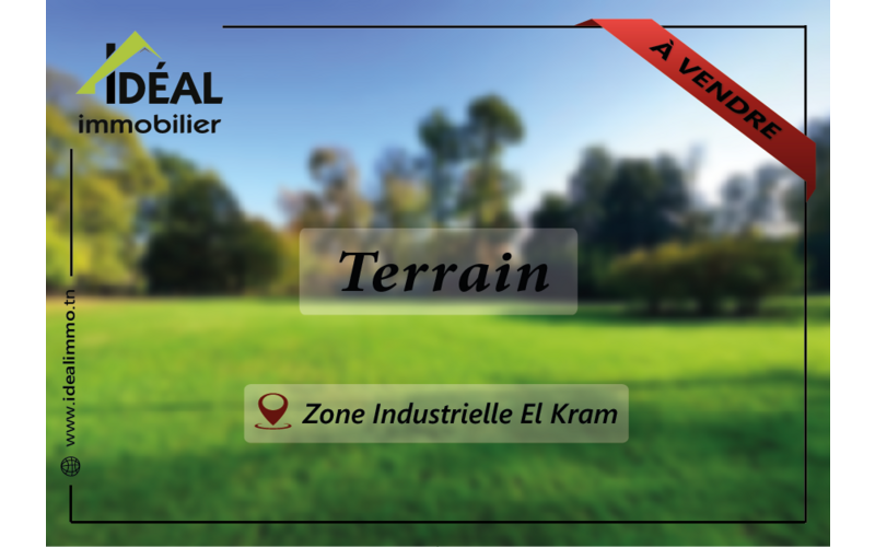 Terrain