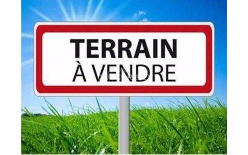 Terrain
