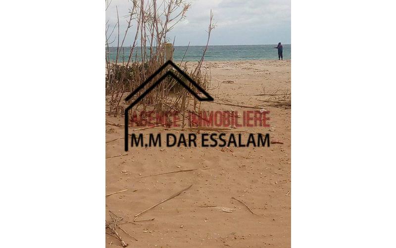 Terrain 4