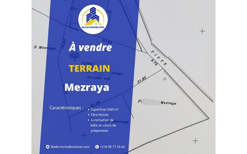 Terrain