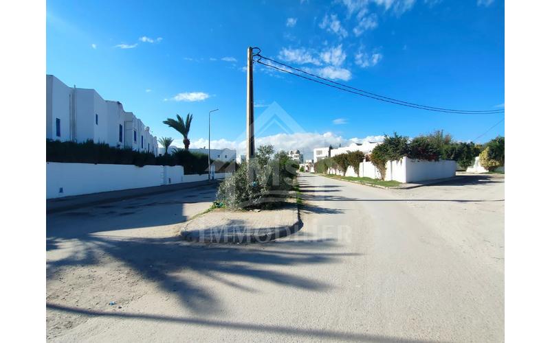Terrain 4