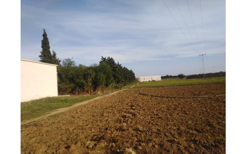 Terrain 3