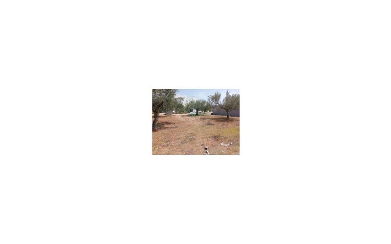 Terrain 6