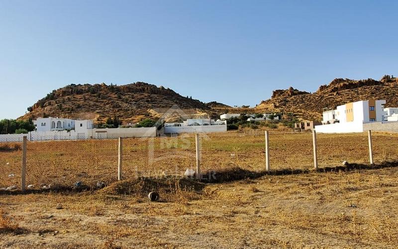 Terrain