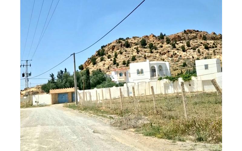 Terrain 11