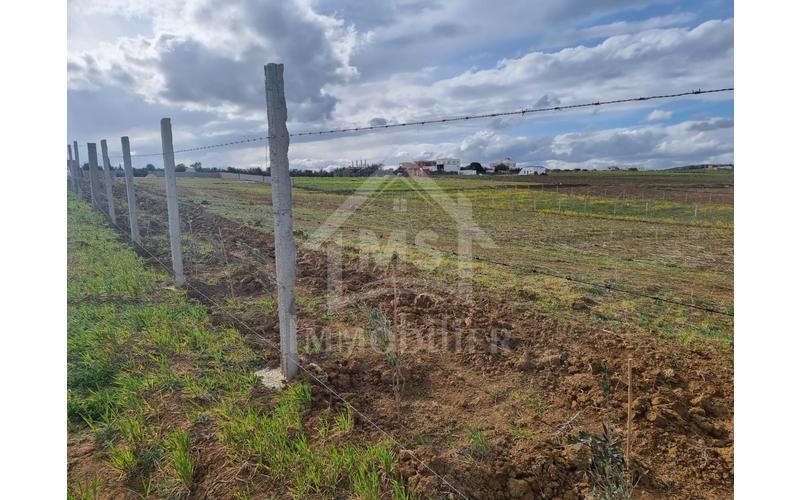 Terrain 4