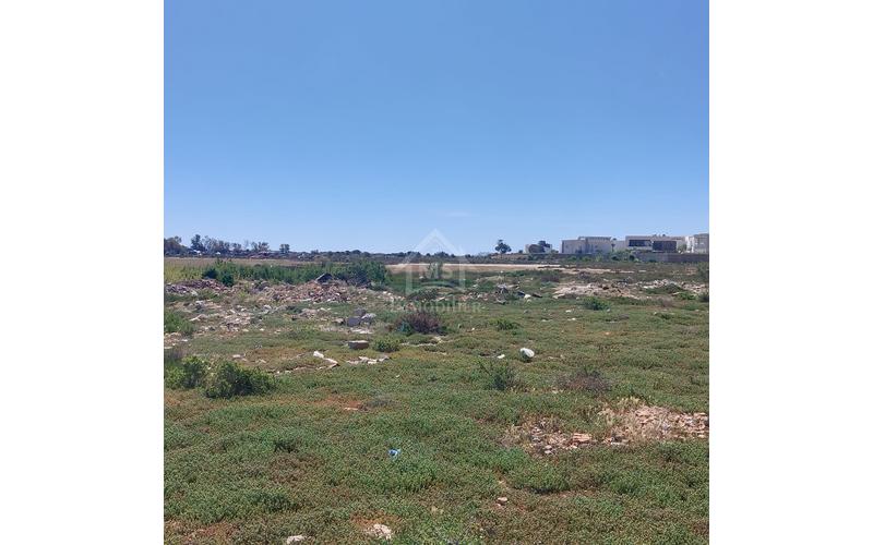 Terrain 3