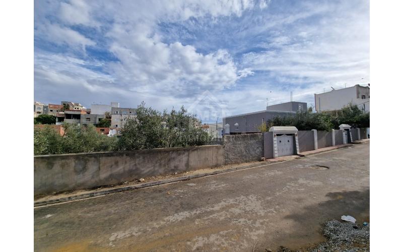 Terrain 6