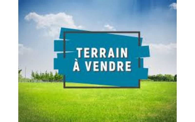 Terrain
