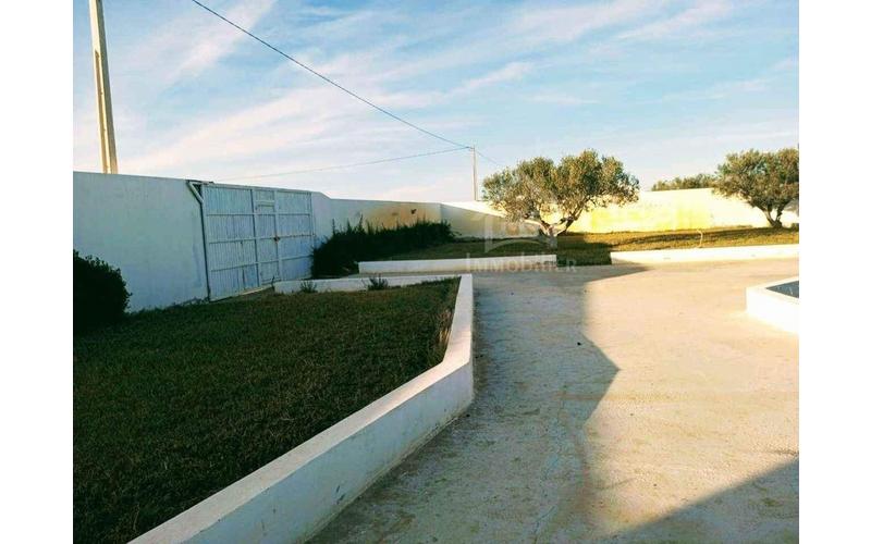 Terrain 5
