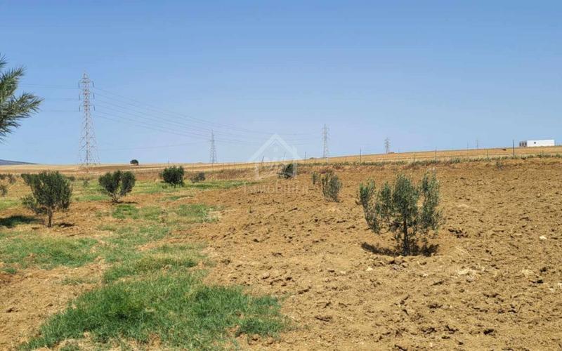Terrain 3