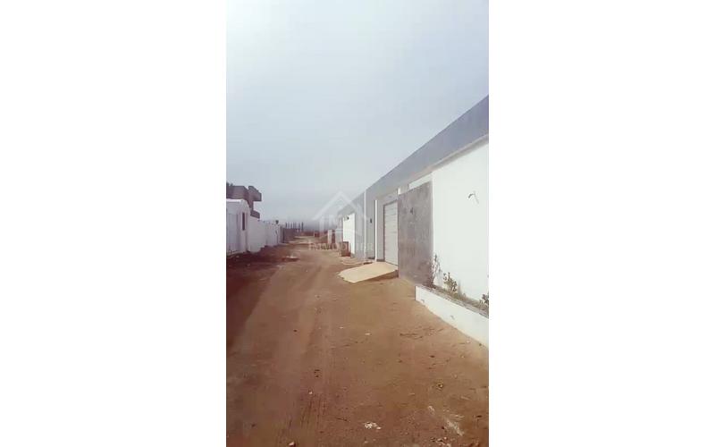 Terrain