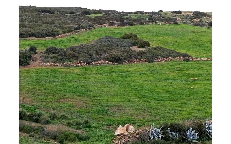 Terrain 5