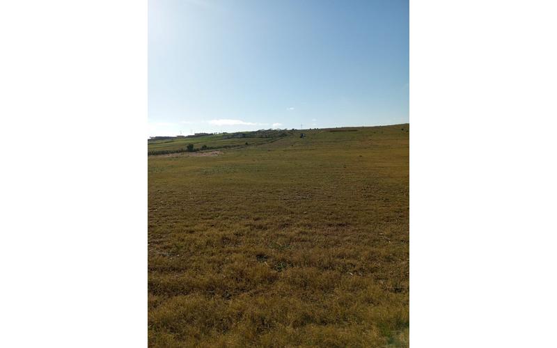 Terrain 3
