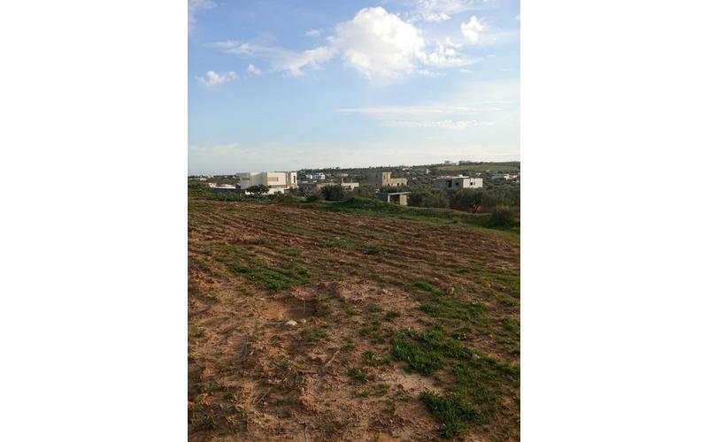Terrain 5