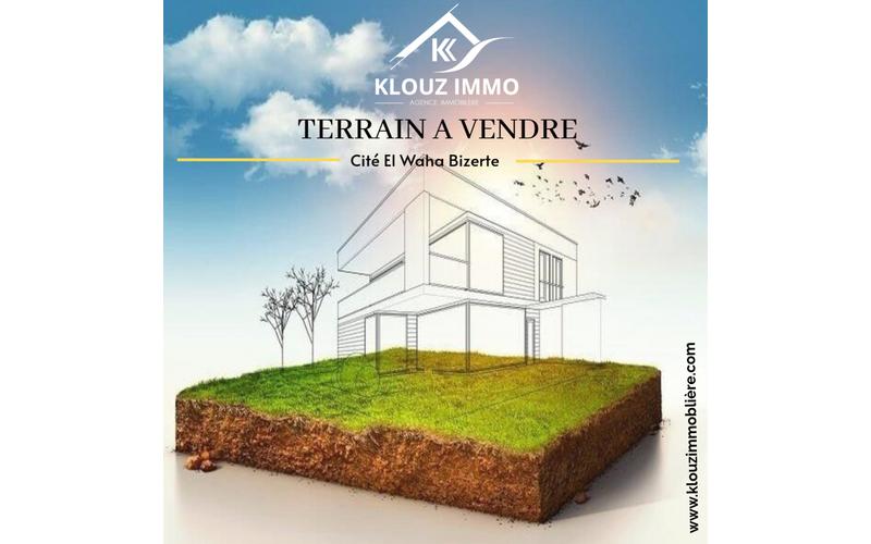 Terrain