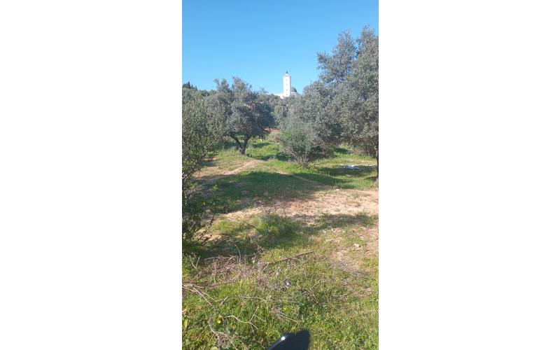 Terrain 4
