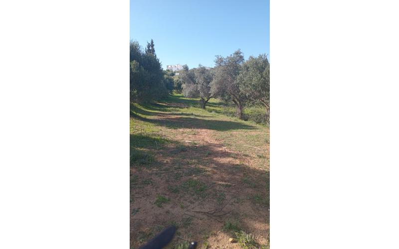 Terrain 2