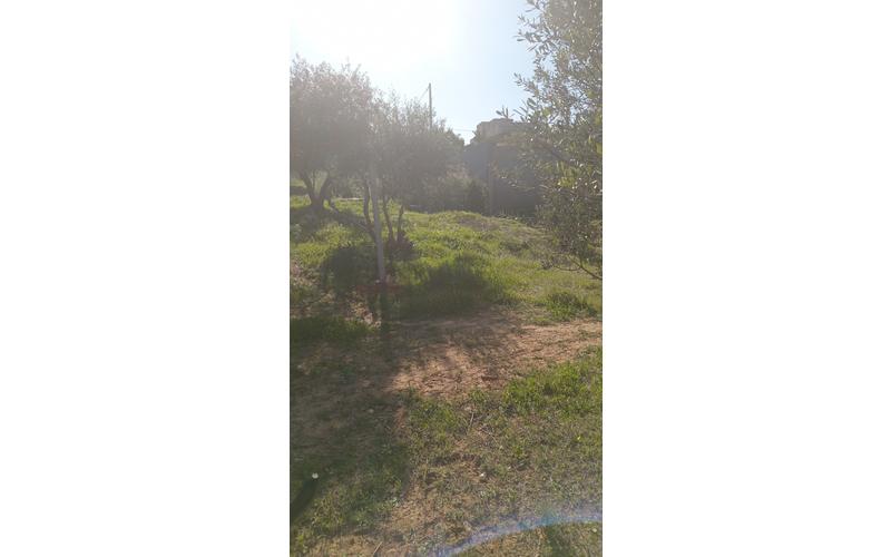 Terrain 7