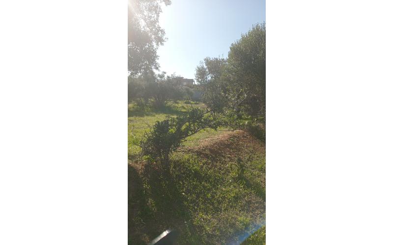Terrain 2