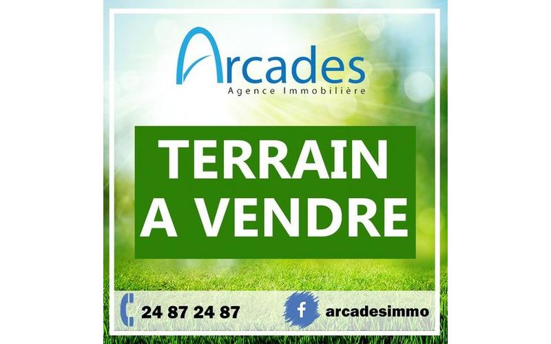 Terrain