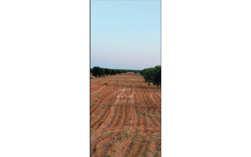 Terrain