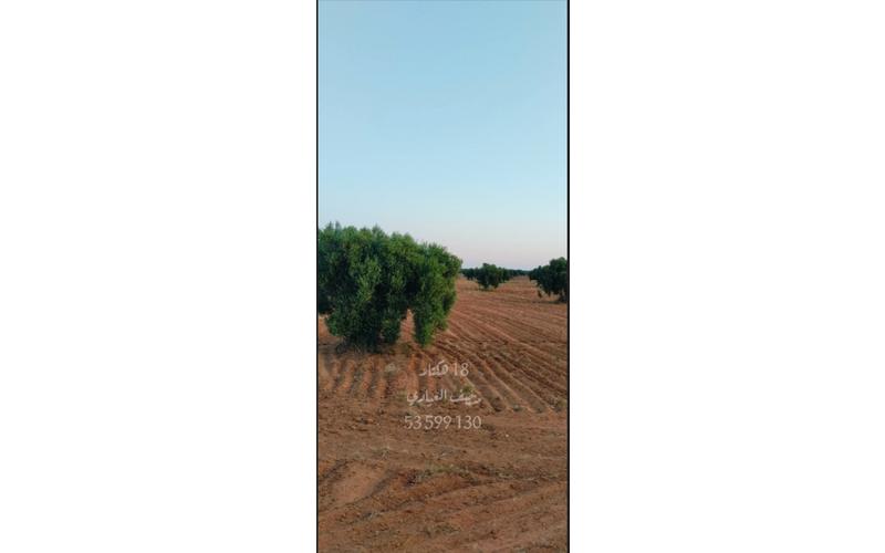 Terrain 7
