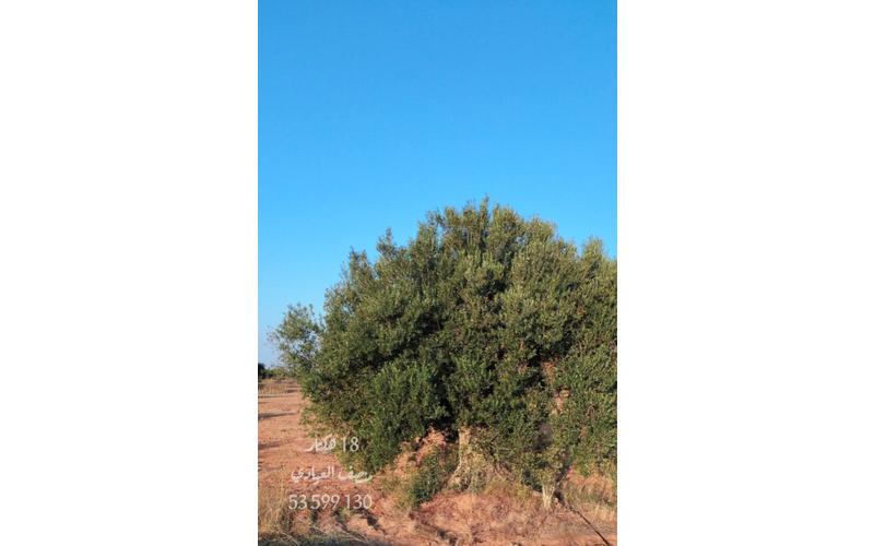 Terrain 2