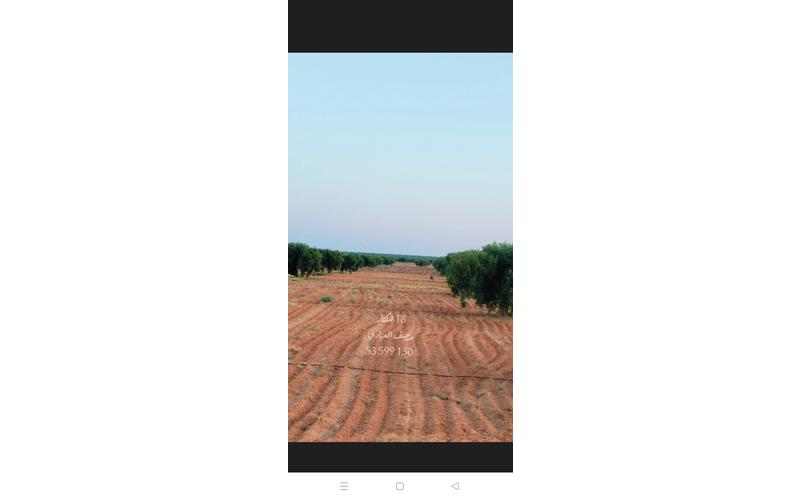 Terrain 14